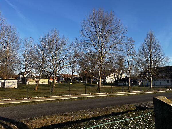 Kehidakustány 2. képe