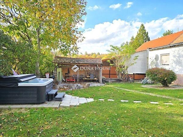 Jókai Mór, Orfű 2. képe