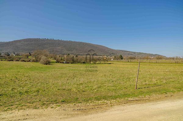 Balatonederics 3. képe