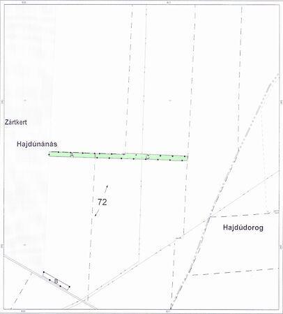 Telepített erdő, Hajdúnánás 2. képe