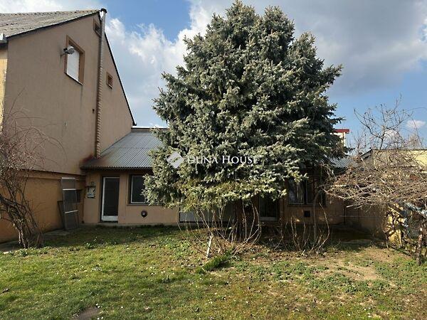 Iskola, Pellérd 2. képe