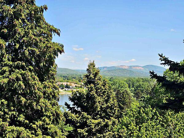 Kökény, Visegrád 2. képe