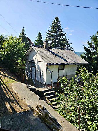 Kökény, Visegrád képe