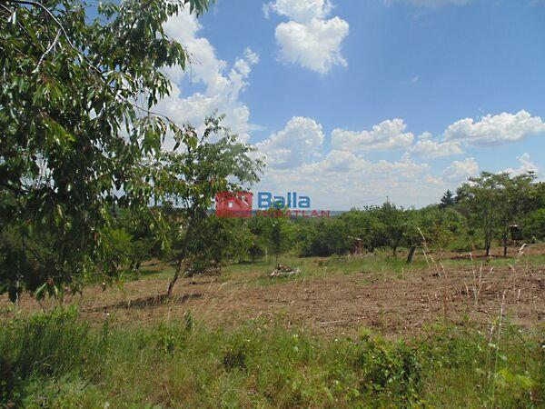 Szegfű, Pákozd 3. képe