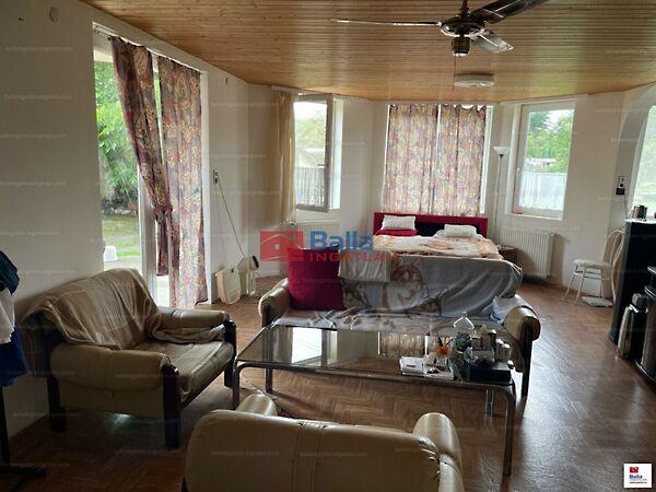 Virág, Baracska képe