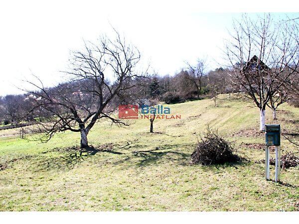 Szőlőhegy, Pázmánd képe