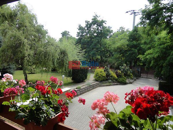 Szérűskert, Fót képe