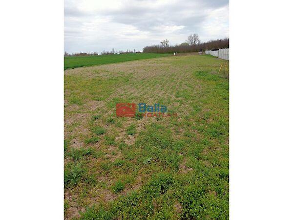 Béke utca közeli, Áporka képe