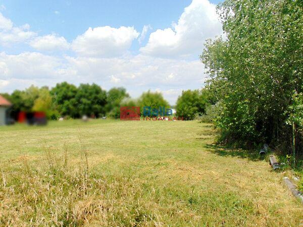 Belterületi, Pákozd képe