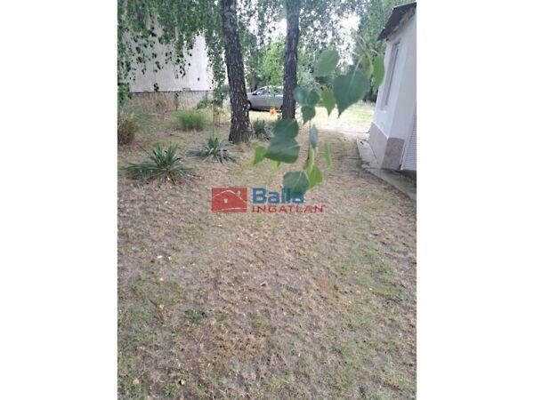 Petőfi, Beleg 2. képe