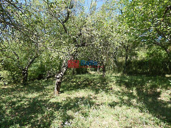 Pilisborosjenő képe