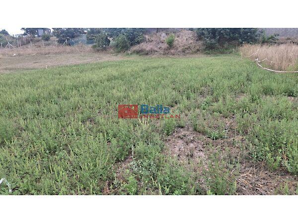 Csendes, Siójut 3. képe