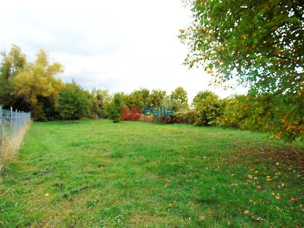 Csendes, Pákozd 3. képe