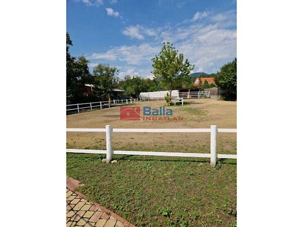 hargita utca, Pomáz képe