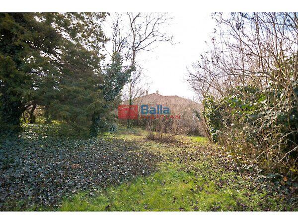 Homokos, Diósd képe