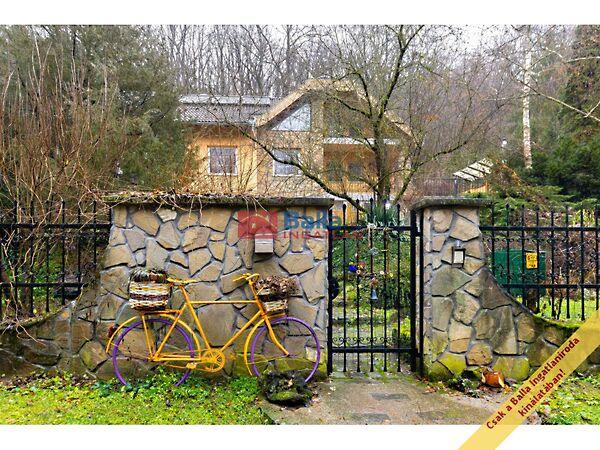 TÖRÖK PATAK, Szokolya képe