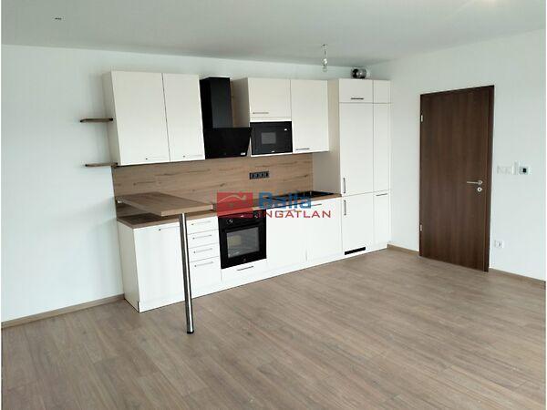 Paskál Rose, Budapest, XIV. kerület 3. képe