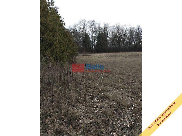 Czuczor, Szigetszentmiklós 3. képe