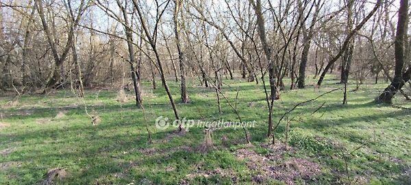 Jászberény 3. képe