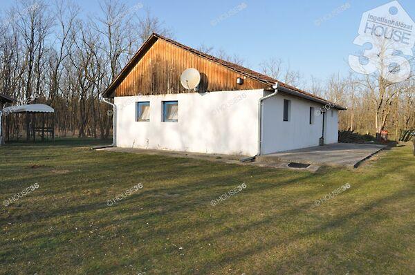 Nyárlőrinc 3. képe