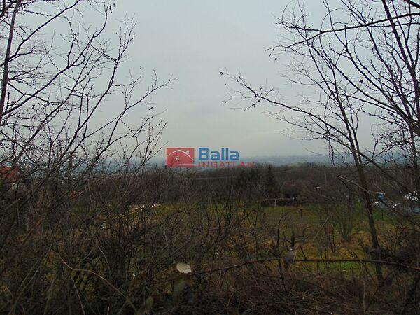 Nefelejcs, Pákozd 3. képe