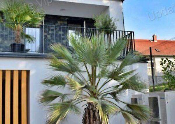 Nemesvámos 3. képe