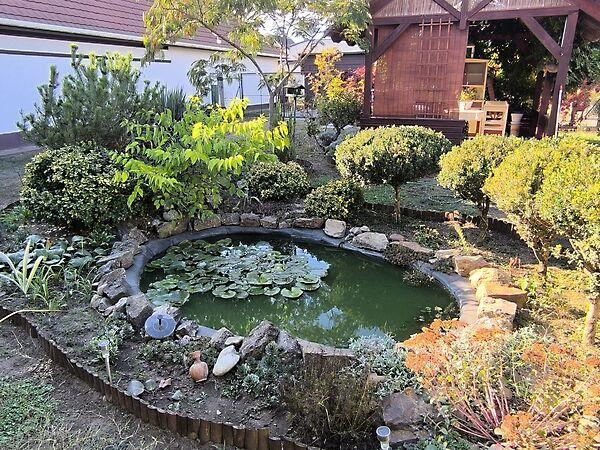 Liszt Ferenc, Tápiószecső képe