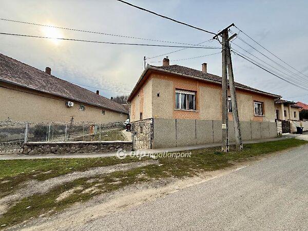 Kossuth Lajos, Hidas képe