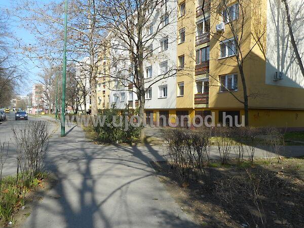 Csorba, Szeged képe