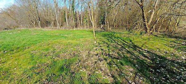 Kehidakustány képe