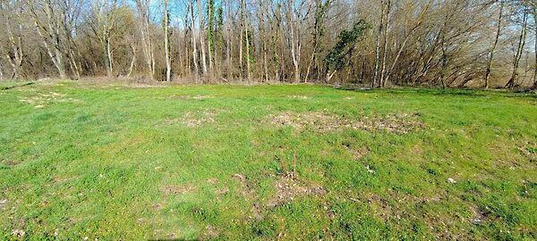 Kehidakustány 2. képe