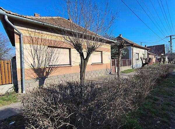 Törökszentmiklós képe