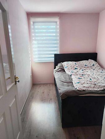 Tiszavasvári 3. képe