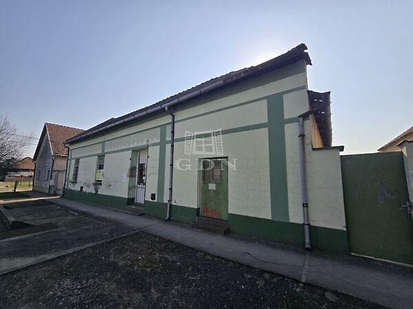 Rákóczi Ferenc, Kunbaja képe