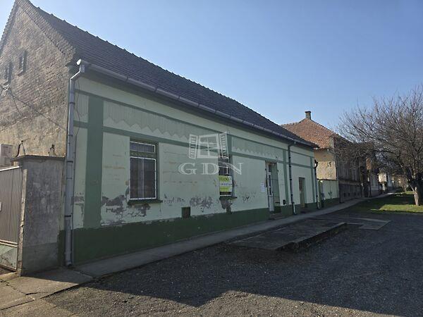 Rákóczi Ferenc, Kunbaja 2. képe