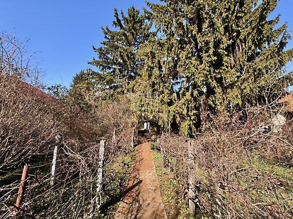 Tó, Diósd 2. képe