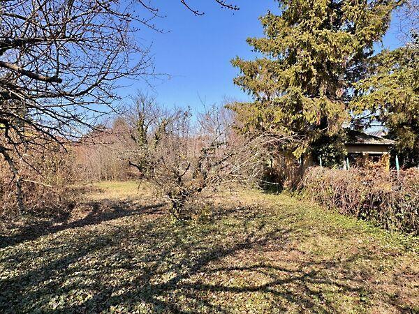 Tó, Diósd 3. képe