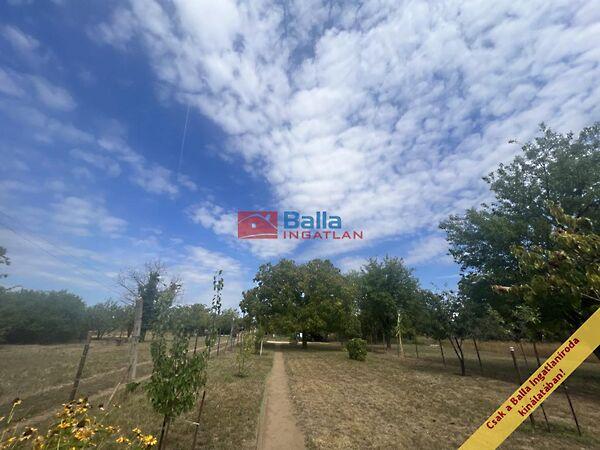 Forrásmajor, Budapest, XVII. kerület 2. képe