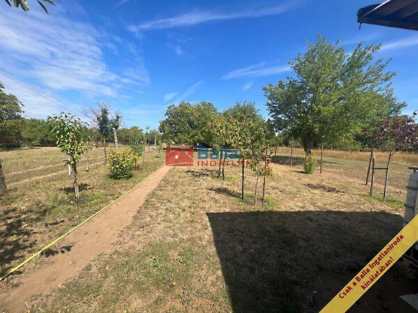 Forrásmajor, Budapest, XVII. kerület 3. képe