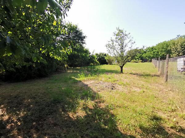 Fő, Sárszentmihály képe