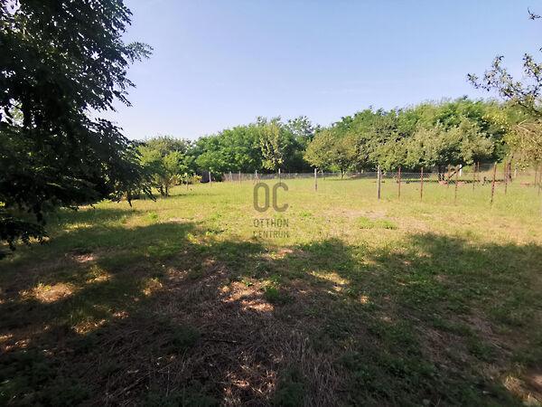 Fő, Sárszentmihály 2. képe