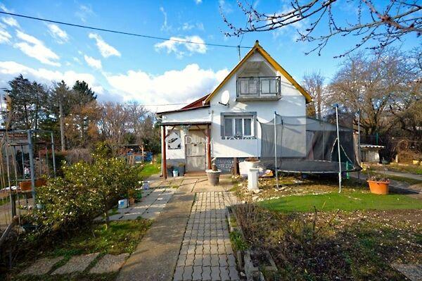 Szőlő, Budakeszi képe