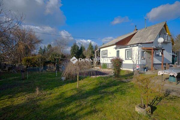 Szőlő, Budakeszi 3. képe