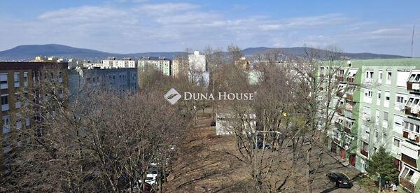 Maléter Pál, Pécs 3. képe