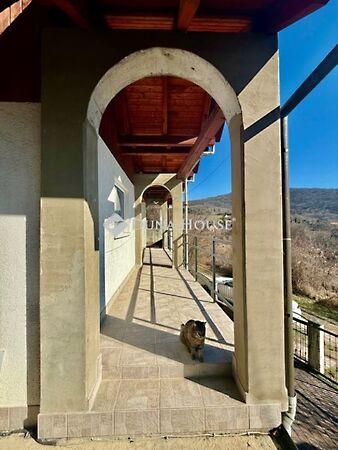 Ady Endre, Harkány 2. képe