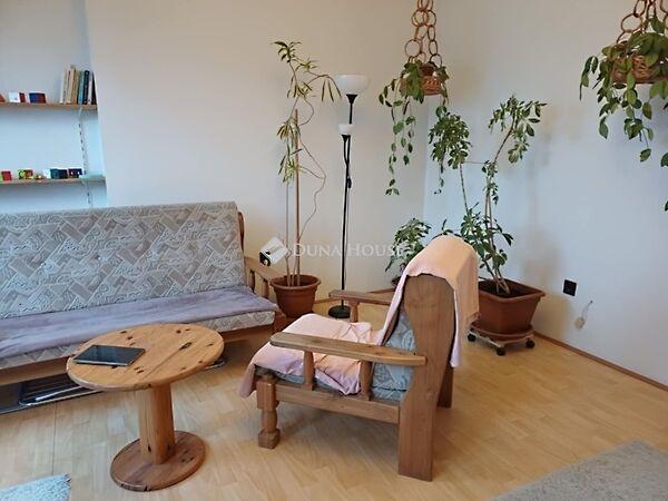 Mécsvirág, Pécs képe