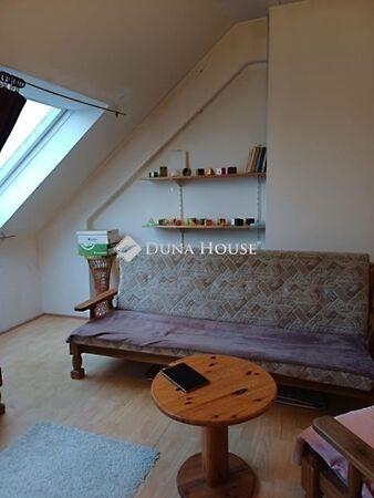 Mécsvirág, Pécs 2. képe