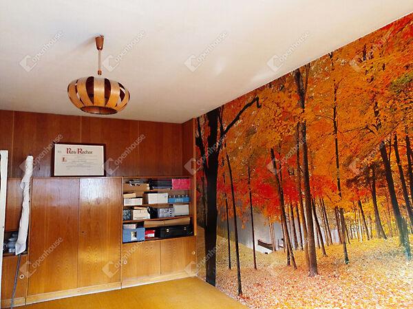 Zalaegerszeg 3. képe