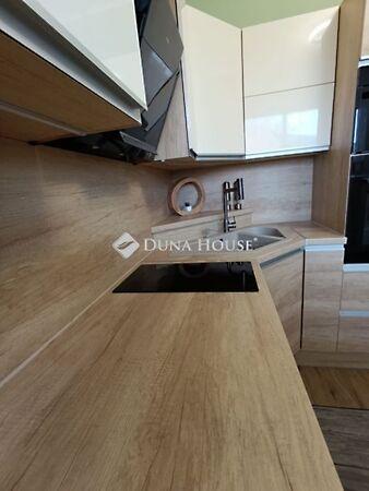 Horváth Kázmér, Mohács 3. képe