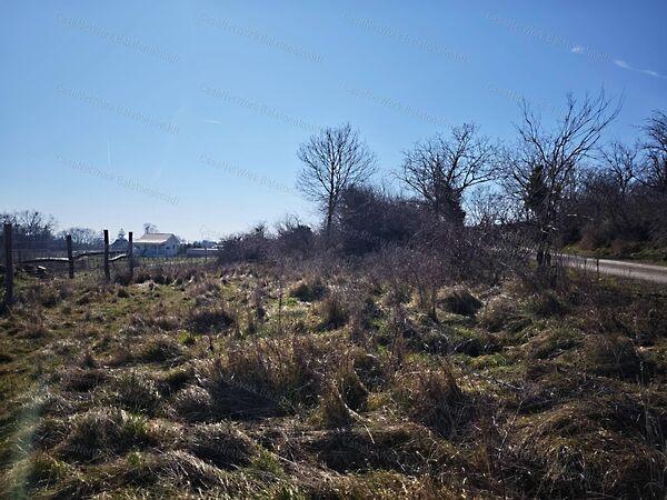 Balatonszepezd 3. képe